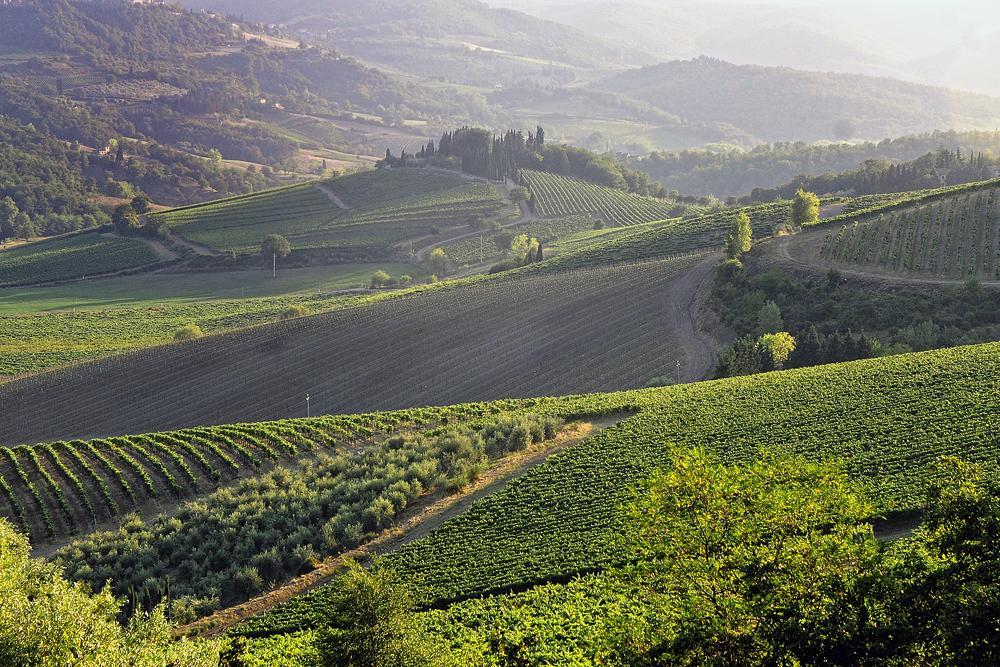 Bed and Breakfast Fattoria Poggerino Radda in Chianti Zimmer foto