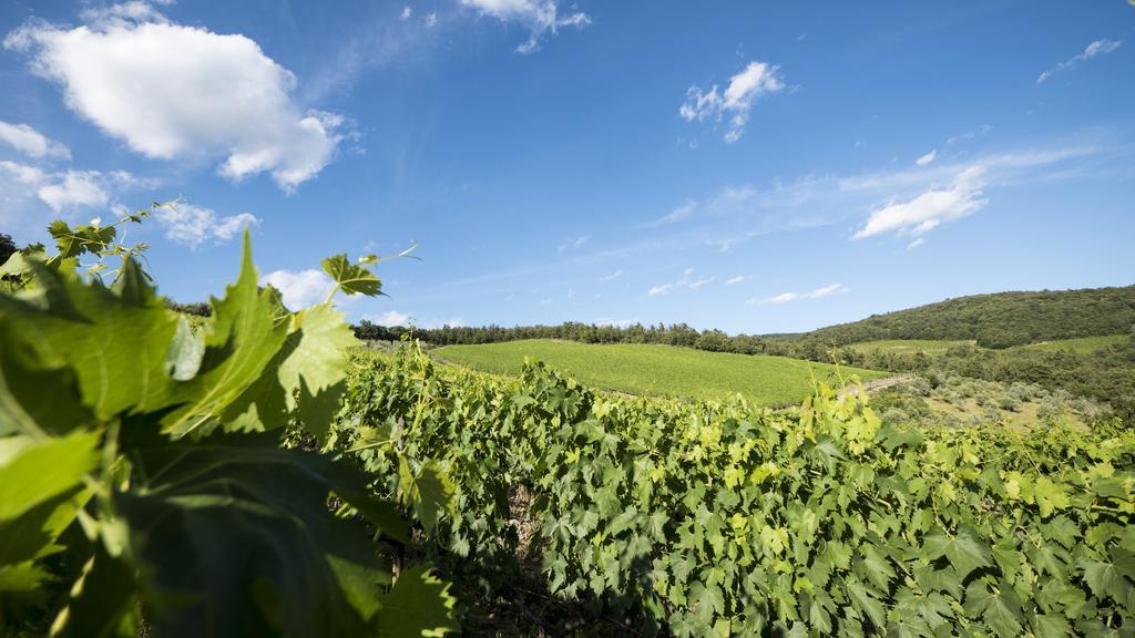 Bed and Breakfast Fattoria Poggerino Radda in Chianti Exterior foto