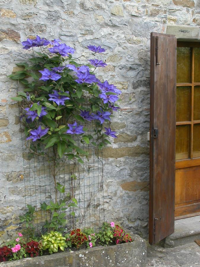 Bed and Breakfast Fattoria Poggerino Radda in Chianti Exterior foto